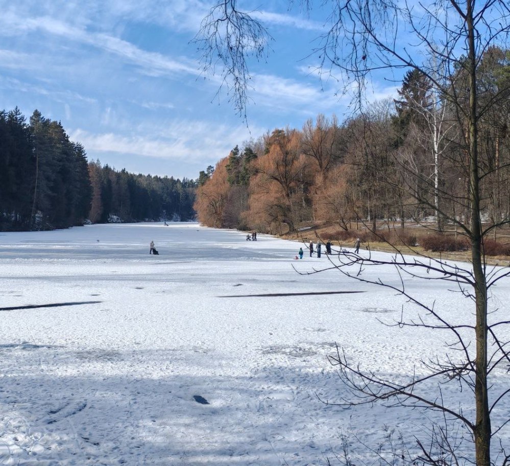 Ветрено, около 0°С ночью и до +7°С в дневные часы ожидается в начале следующей недели в Могилевской области