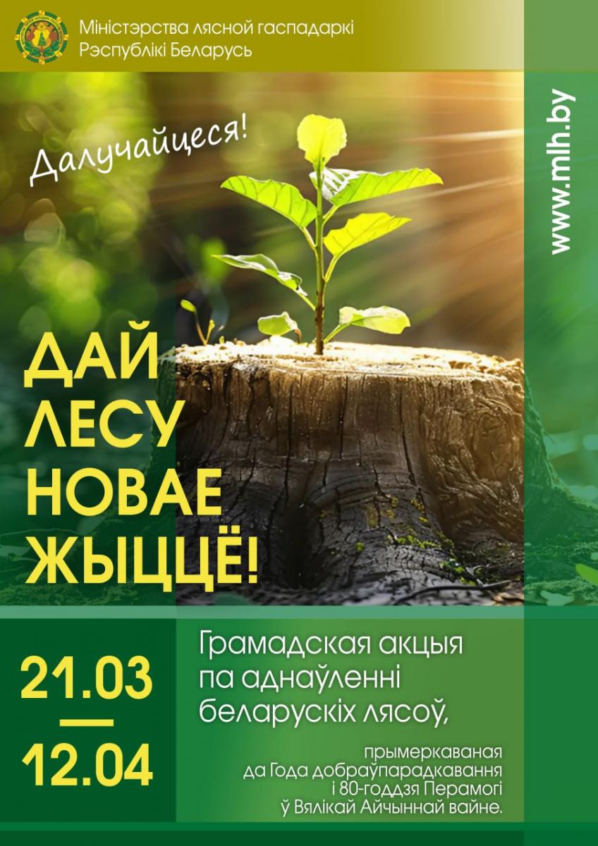 Акция «Дай лесу новае жыццё!» пройдет в Беларуси с 21 марта по 12 апреля