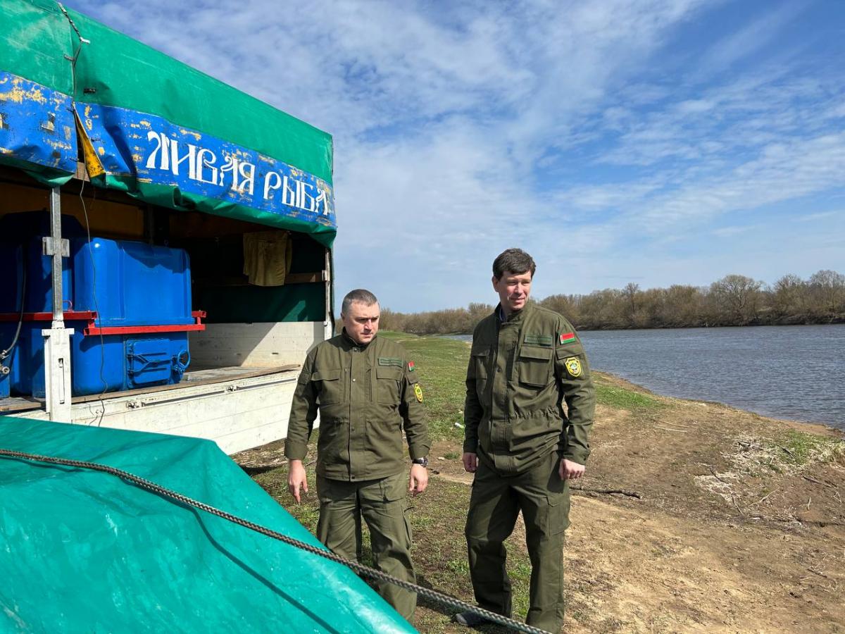 Более двух тонн карпа выпущено в Днепр в Могилевском районе