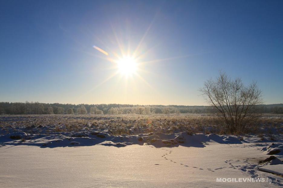 До -20°Ϲ в ночные часы и порывистый ветер днем ожидается в Могилевской области 17 февраля