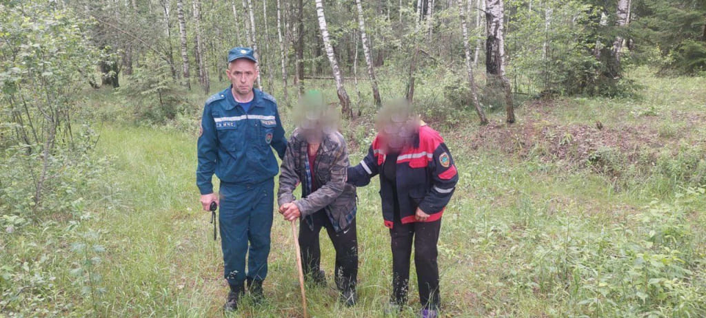 В Быховском районе мужчина ушел за грибами и заблудился в лесу