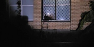 Пожарная сигнализация обнаружила загорание в магазине «Евроопт» в Могилеве