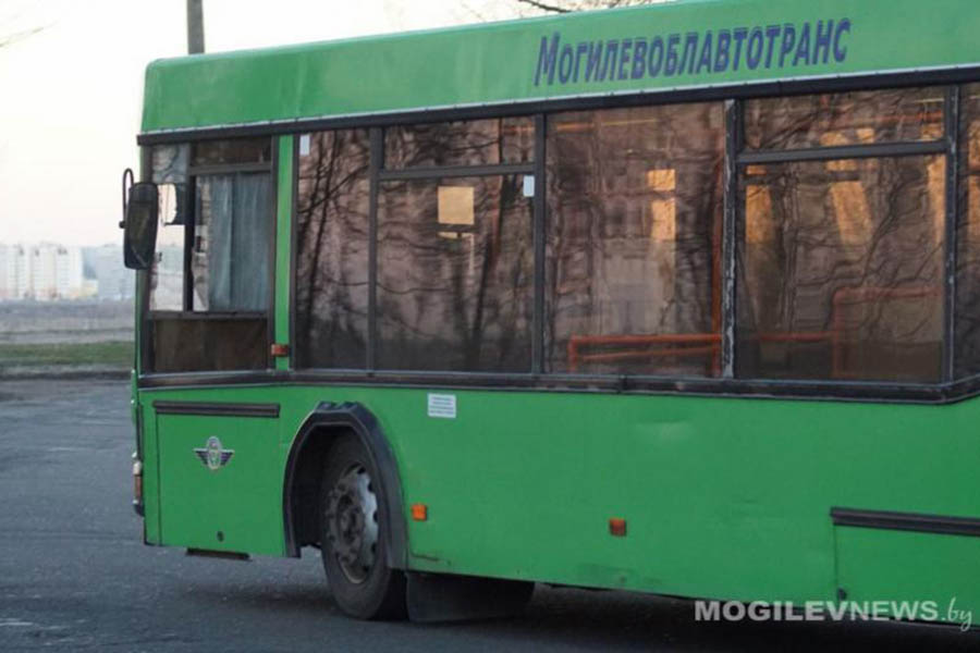 Дополнительные автобусы пустят на Буйничское поле в Могилеве ночью 22 июня