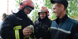 Славгородские спасатели помогли выпавшим из гнезда совятам
