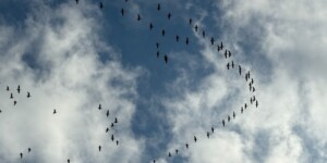 Погода на выходные: ночные заморозки, днем возможен мокрый снег