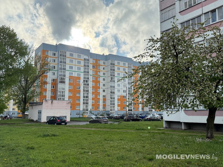 Теплая, но дождливая погода ожидается в начале следующей недели в Могилевской области