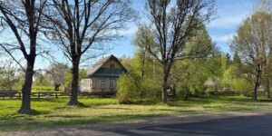Ночные заморозки и не выше +14°Ϲ в дневные часы ожидается в Могилевской области 12 мая