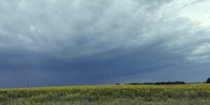 Погода на неделю: дожди, грозы и до +25°С
