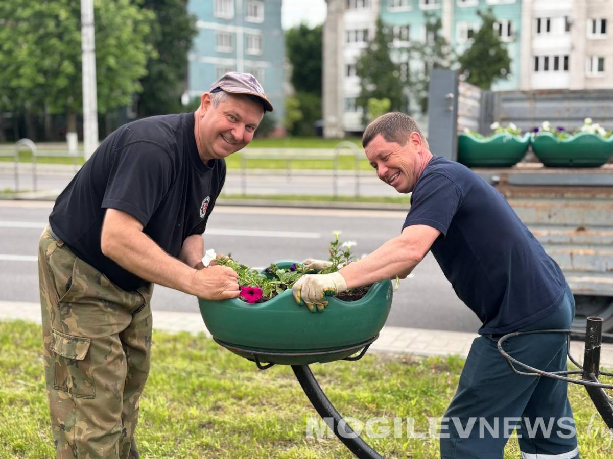 Утопающие в зелени мосты и модные тренды в озеленении Могилева