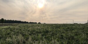 Погода на неделю: понижение температуры воздуха, особенно в ночные часы, и дожди