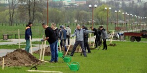 О ходе работ по благоустройству и наведению порядка на территории Могилевской области в цифрах