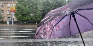 Ветрено и дождливо ожидается в начале следующей недели в Могилевской области