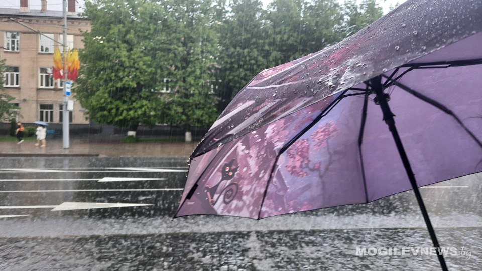 Ветрено и дождливо ожидается в начале следующей недели в Могилевской области