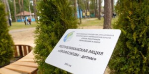Профсоюзы — детям: в лагере «Любуж» появилась новая зона отдыха
