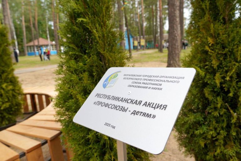 Профсоюзы — детям: в лагере «Любуж» появилась новая зона отдыха
