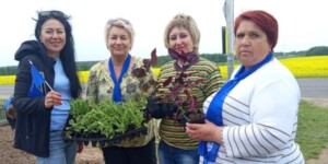 Актив облорганизации профсоюза продолжает реализацию мероприятий, посвященных Году благоустройства