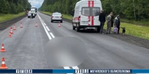 В Быховском районе погиб пешеход — он перебегал дорогу