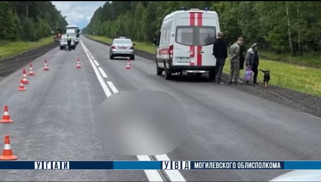В Быховском районе погиб пешеход — он перебегал дорогу