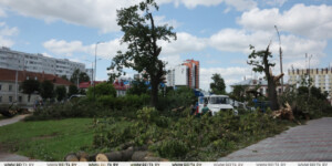 В Могилеве продолжаются работы по ликвидации последствий грозового фронта
