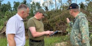 Ураган в Могилевской области: последствия и меры
