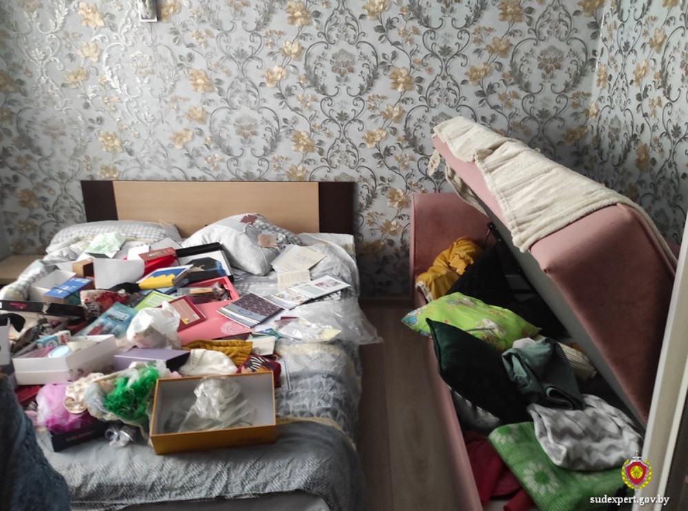 Гражданин соседнего государства устроил «криминальные гастроли» в Бобруйске