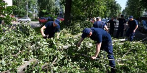 Прокуроры Могилевщины объединились для ликвидации последствий урагана