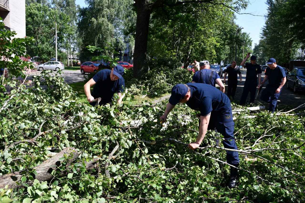 Прокуроры Могилевщины объединились для ликвидации последствий урагана