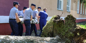 Помощь в ликвидации последствий стихии оказывают могилевские эксперты