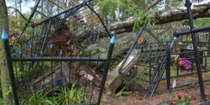 Из-за стихии в Могилеве пострадали 11 из 16 городских кладбищ