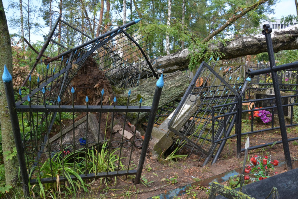 Из-за стихии в Могилеве пострадали 11 из 16 городских кладбищ
