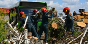 Могилевские спасатели ликвидируют последствия урагана на кладбищах