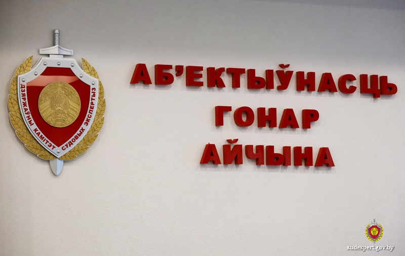 Культурологическую экспертизу начали проводить в Могилеве