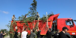 Правоохранители наводят порядок на Лавсановском кладбище в Могилеве