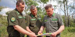 Министр лесного хозяйства оценил масштабы ущерба от урагана в Могилевской области. Фото