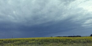 Шквалистый ветер и до +34°С ожидается в Могилевской области 10 июля