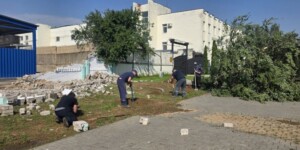 Профсоюзы мобилизовали работников для ликвидации последствий стихии в Могилеве