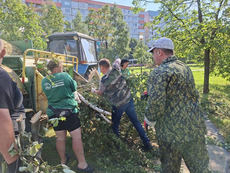 Профсоюзы помогают ликвидировать последствия урагана в Могилеве