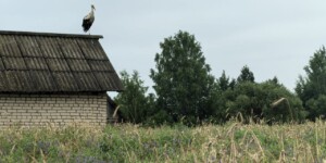 Шквалистое усиление ветра, грозы, возможен град в Могилевской области 23 июля