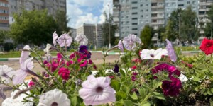 Погода на выходные: до +27°С, дожди и грозы
