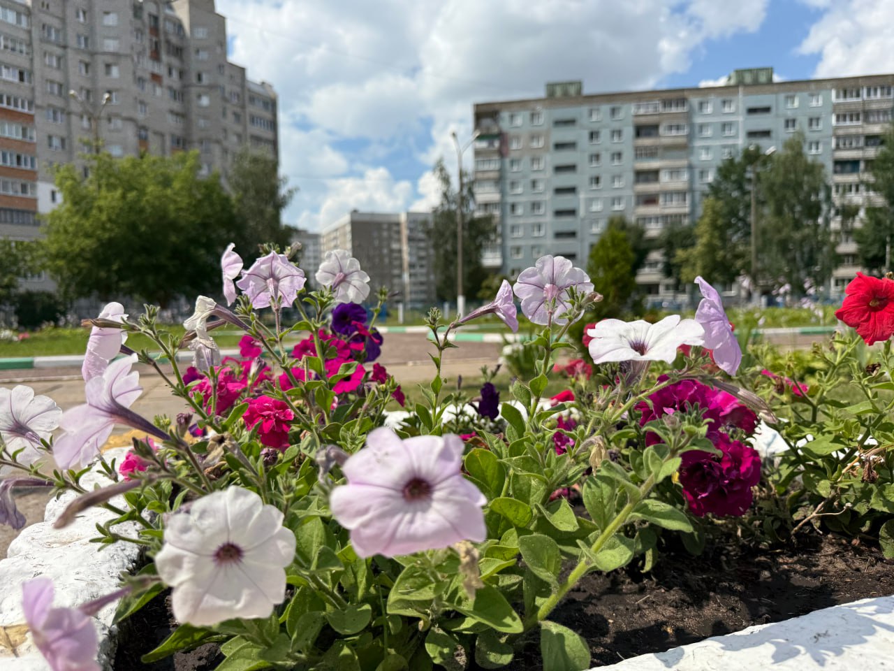 Погода на выходные: до +27°С, дожди и грозы