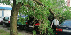 16 легковых автомобилей повредили упавшие деревья