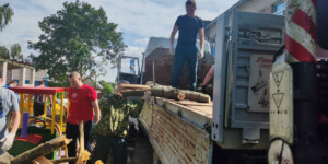 Могилевские спасатели приняли активное участие в большом городском субботнике