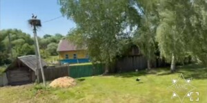 Спасатели помогли аистенку в Костюковичском районе вернуться в гнездо