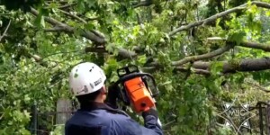 Спасатели и курсанты университета МЧС помогают ликвидировать последствия непогоды в Могилеве
