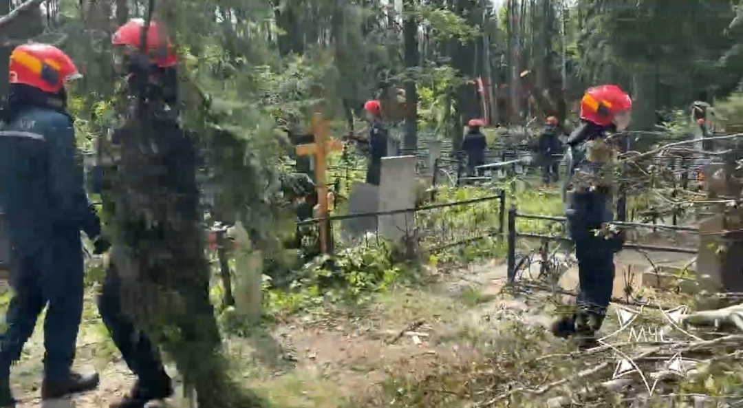 За три дня силами мобильной группы МЧС убрано более 200 деревьев