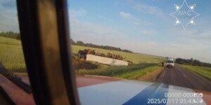В Мстиславском районе грузовик съехал в кювет и опрокинулся, пострадал водитель