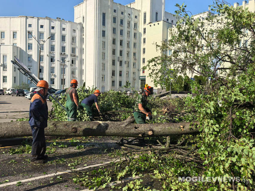 Последствия непогоды в Могилеве: вместе мы сильнее!  Фото