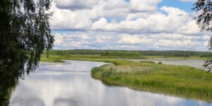 Запрет на купание и водный спорт действует на пляже на реке Днепр в аг. Полыковичи Могилевского района