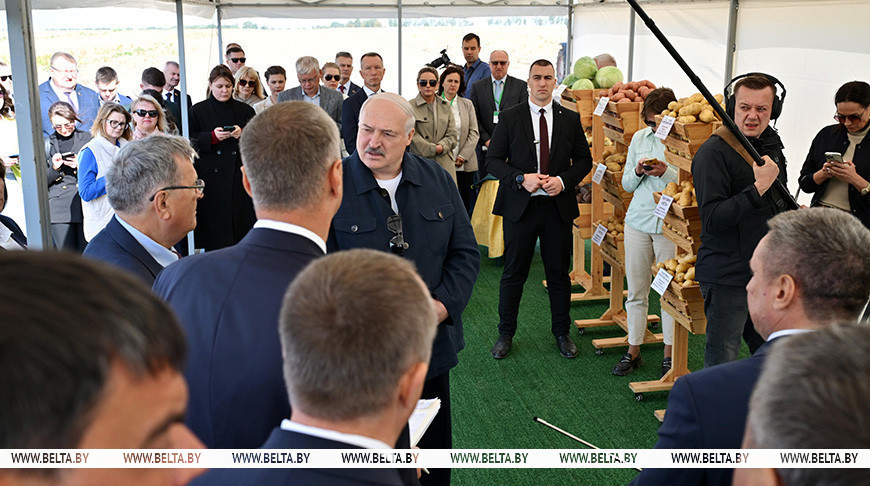 Лукашенко: торговые сети должны активно участвовать в хранении и реализации картофеля