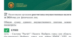 Уплатить единый имущественный платеж за 2024 год необходимо не позднее 17 ноября